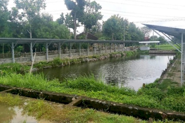 Ngrundul dan Kalikebo Jadi Calon Desa Inovasi